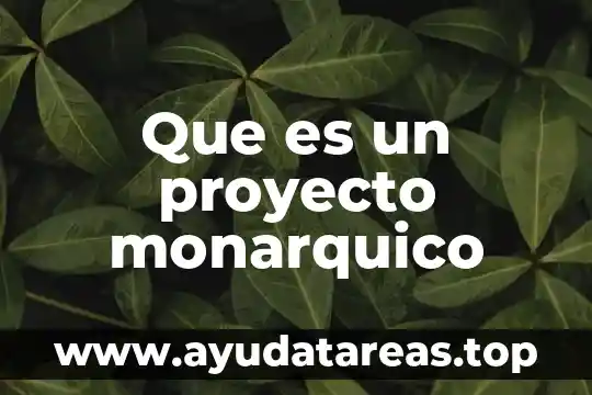 Que es un proyecto sintetico 5 Que es un proyecto monarquico