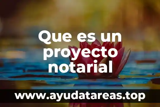 Que es una ley formal 7 Que es un proyecto notarial