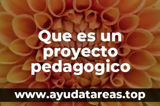Que es un proyecto sintetico 6 Que es un proyecto pedagogico