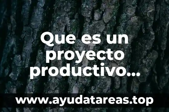 Que es un proyecto productivo ejemplo