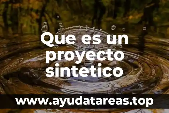 Que es el proyecto canvas 8 Que es un proyecto sintetico