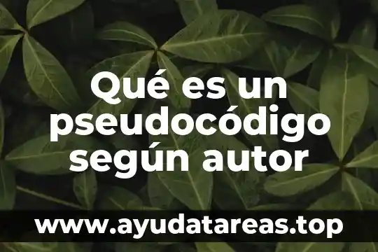 Qué es un pseudocódigo según autor