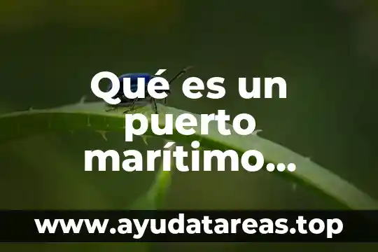 Qué es un puerto marítimo definición