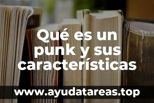 Que es un signo y sus caracteristicas 6 Qué es un punk y sus características