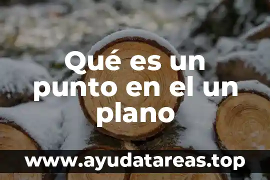 Qué es un punto en el un plano