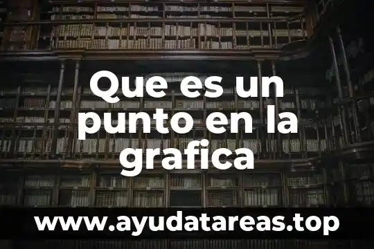 Que es representación grafica sistematizada 8 Que es un punto en la grafica
