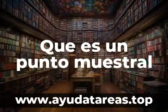 Que es un punto muestral