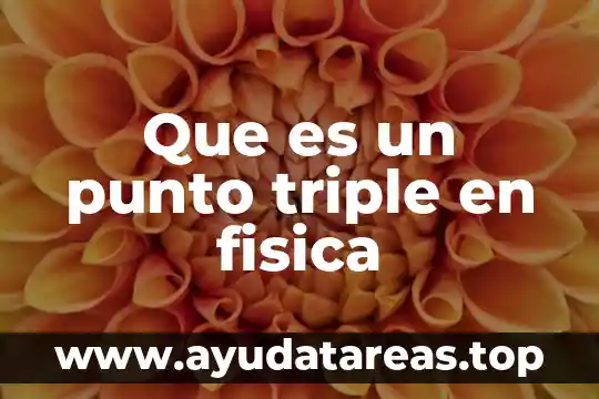 Que es simbolismo en educacion fisica 3 Que es un punto triple en fisica