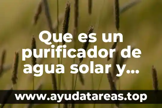Que es un purificador de agua solar y como funciona