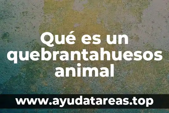 Que es el animal tijerillas 6 Qué es un quebrantahuesos animal