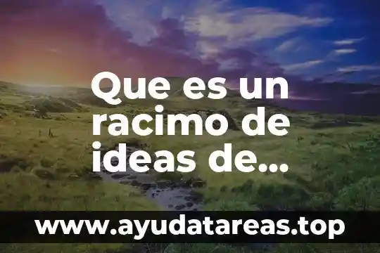 Que es teoria de las ideas 5 Que es un racimo de ideas de redaccion del desarrollo
