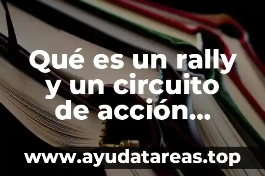 Qué es un rally y un circuito de acción motriz