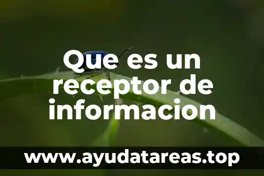 Que es una busqueda de informacion yahoo 4 Que es un receptor de informacion