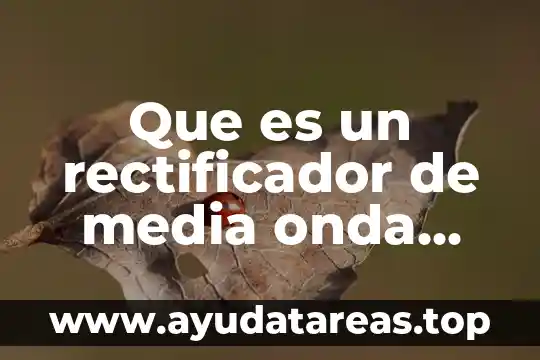 Qué es el número de onda 8 Que es un rectificador de media onda blogspot