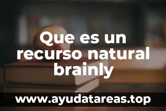 Que es un recurso natural brainly