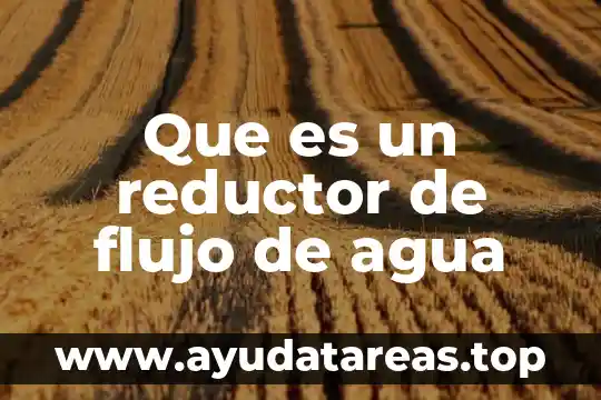 Que es un acumulador en diagrama de flujo 3 Que es un reductor de flujo de agua
