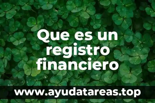 Que es un registro financiero