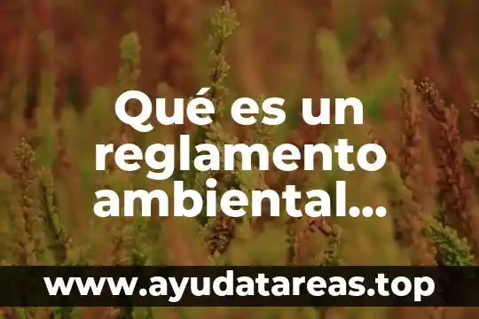 Qué es un reglamento ambiental concepto