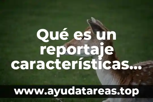 Analizar que es y caracteristicas 5 Qué es un reportaje características y función