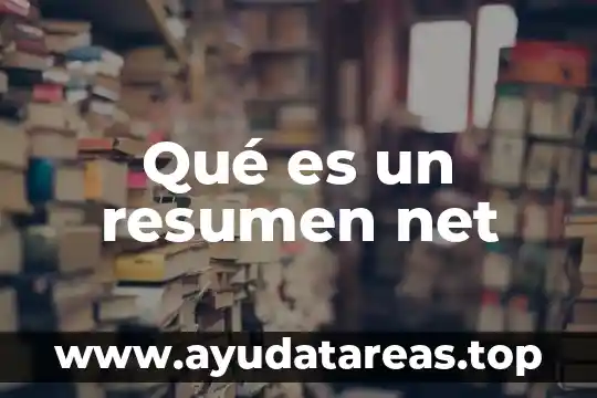 Que es y que significa com net org es mx 5 Qué es un resumen net