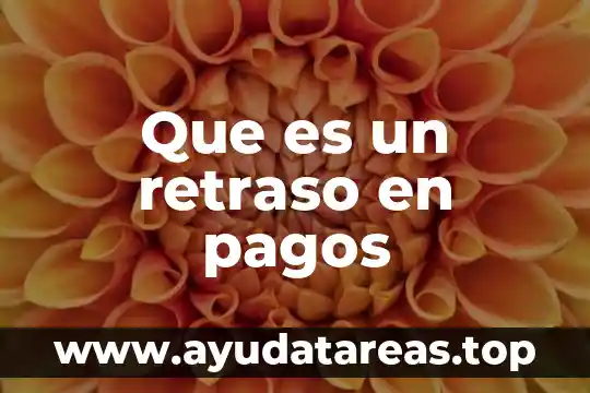 Que es un retraso en pagos