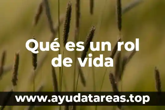 Qué es un rol de vida