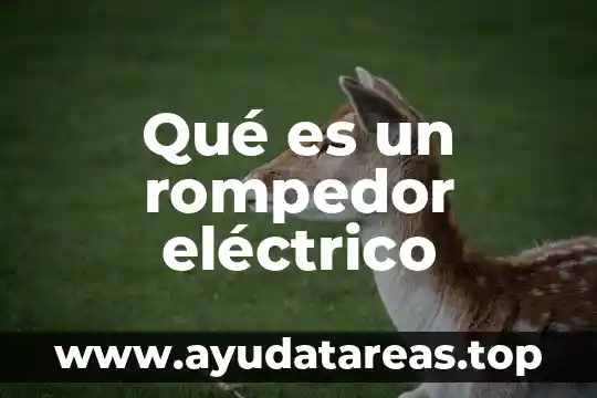 Qué es un rompedor eléctrico
