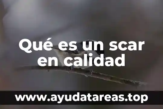 Qué es un scar en calidad