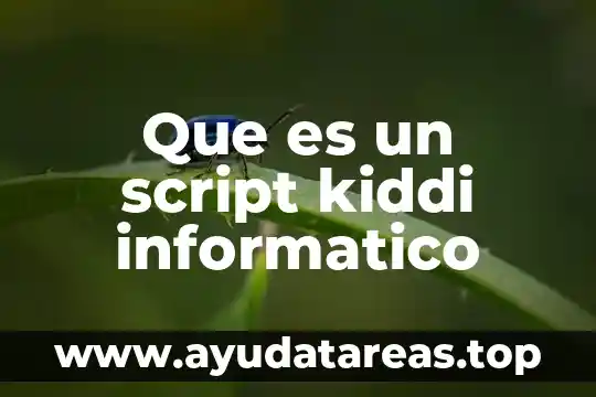 Que es un script kiddi informatico