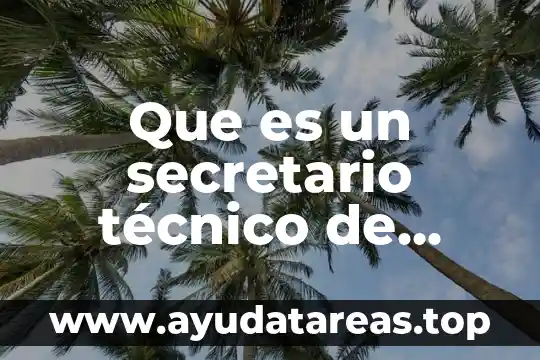 Que es un secretario técnico de fútbol
