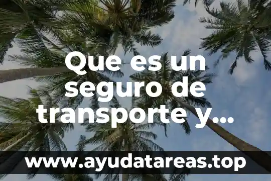 Que es un seguro de transporte y mercancia