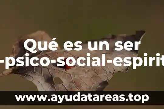 Qué es un ser bio-psico-social-espiritual