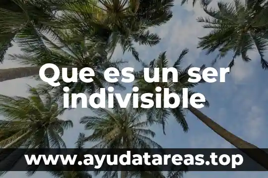 Que es un ser indivisible