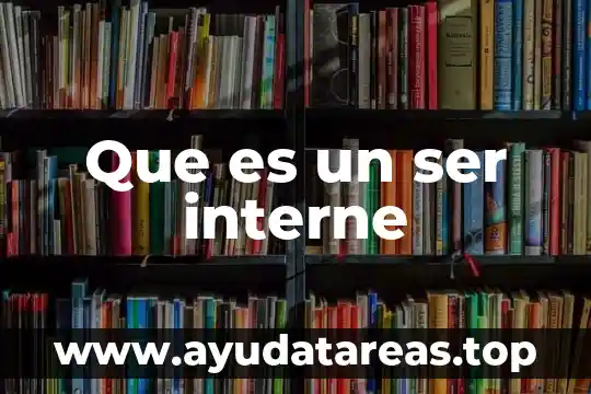 Que es un ser interne