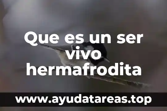 Que es un ser vivo y no vivo biologia 7 Que es un ser vivo hermafrodita