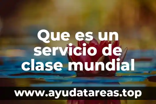 Trabajo en clase por que es importante 4 Que es un servicio de clase mundial