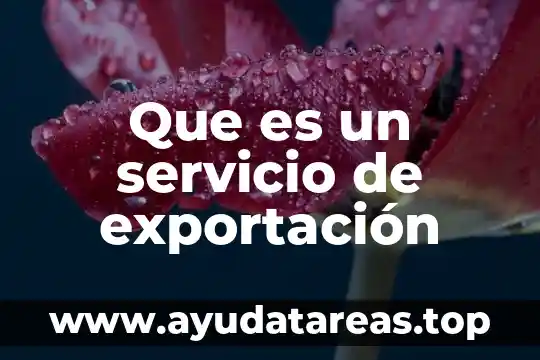 Que es el nombre de servicio cfe 5 Que es un servicio de exportación