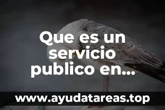 Que es un servicio publico en derecho
