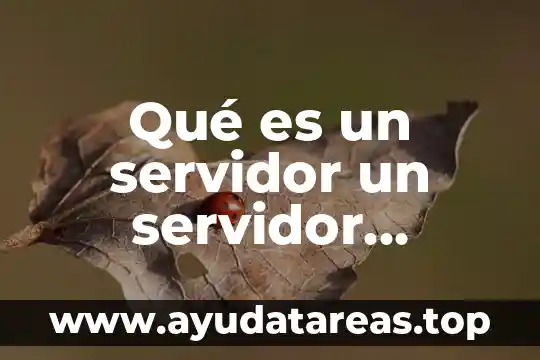 Que es un pedetario público 3 Qué es un servidor un servidor público municipal
