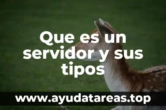 Que es un servidor y sus tipos