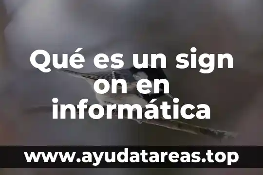 Que es re significado informatica 5 Qué es un sign on en informática