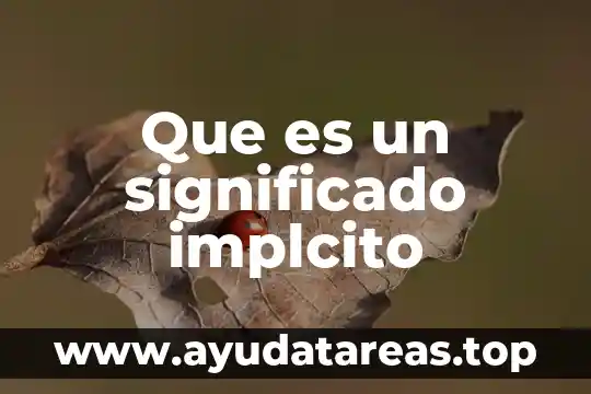 Que es barquichuelo significado 8 Que es un significado implcito
