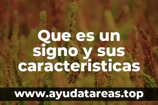 Qué es un punk y sus características 4 Que es un signo y sus caracteristicas