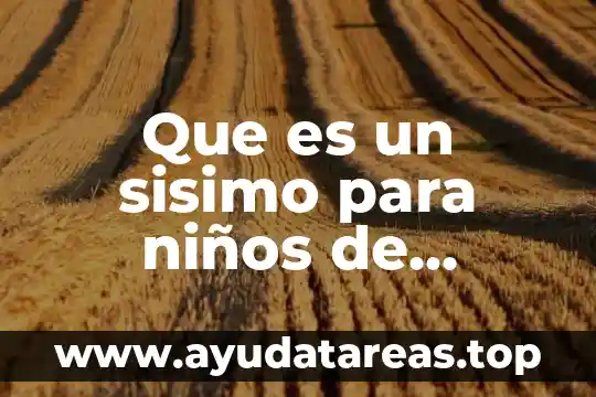 Qué es un juguete interactivo para niños 3 Que es un sisimo para niños de primaria