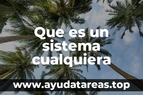 Que es pie sistema decimal significado y concepto 7 Que es un sistema cualquiera
