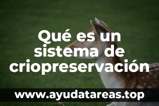 Qué es un sistema de criopreservación