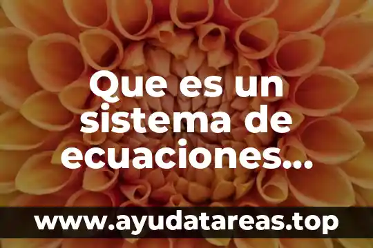 Que es un sistema de ecuaciones solucion unica