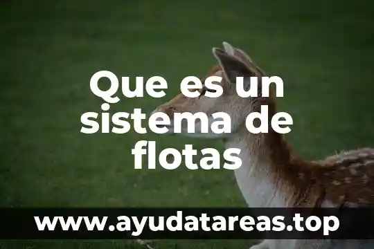 Qué es un sistema de doble embrague 5 Que es un sistema de flotas