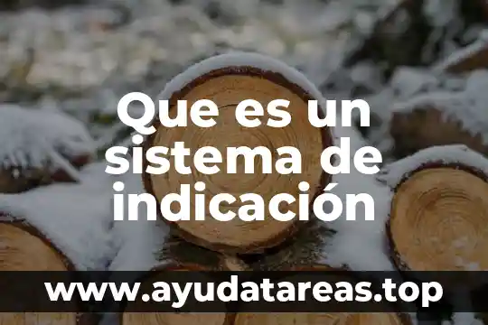 Que es un sistema de indicación