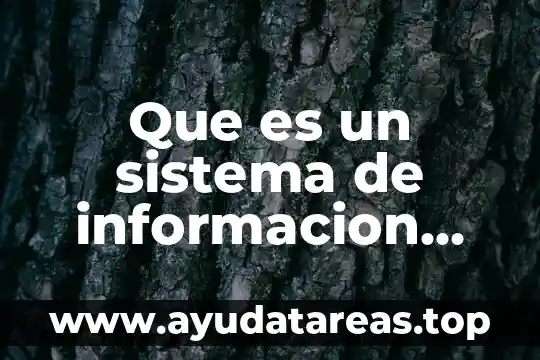 Sistema de monitoreo e informaci贸n Datatur que es 6 Que es un sistema de informacion libros